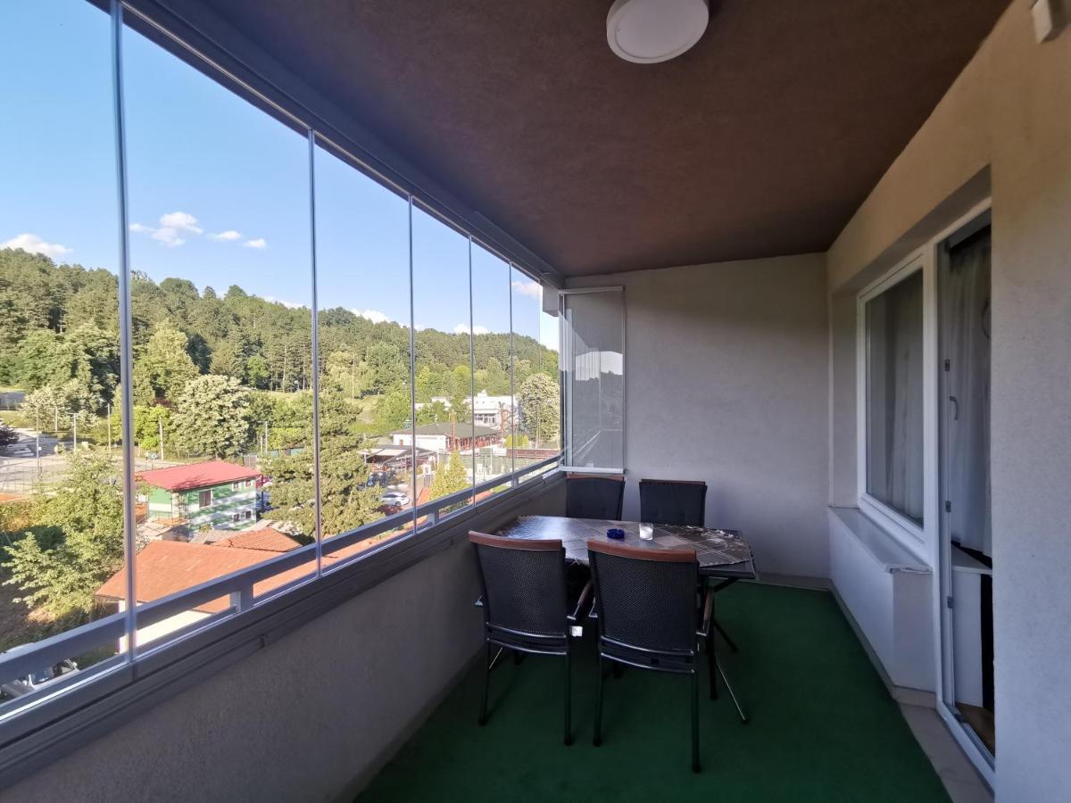 Apartment Banja -
